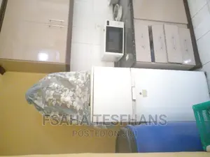Furnished Studio Apartment in Studio  Apartment, Yeka for rent