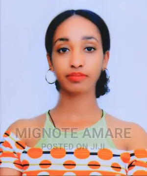 Photo - Work Is Great!