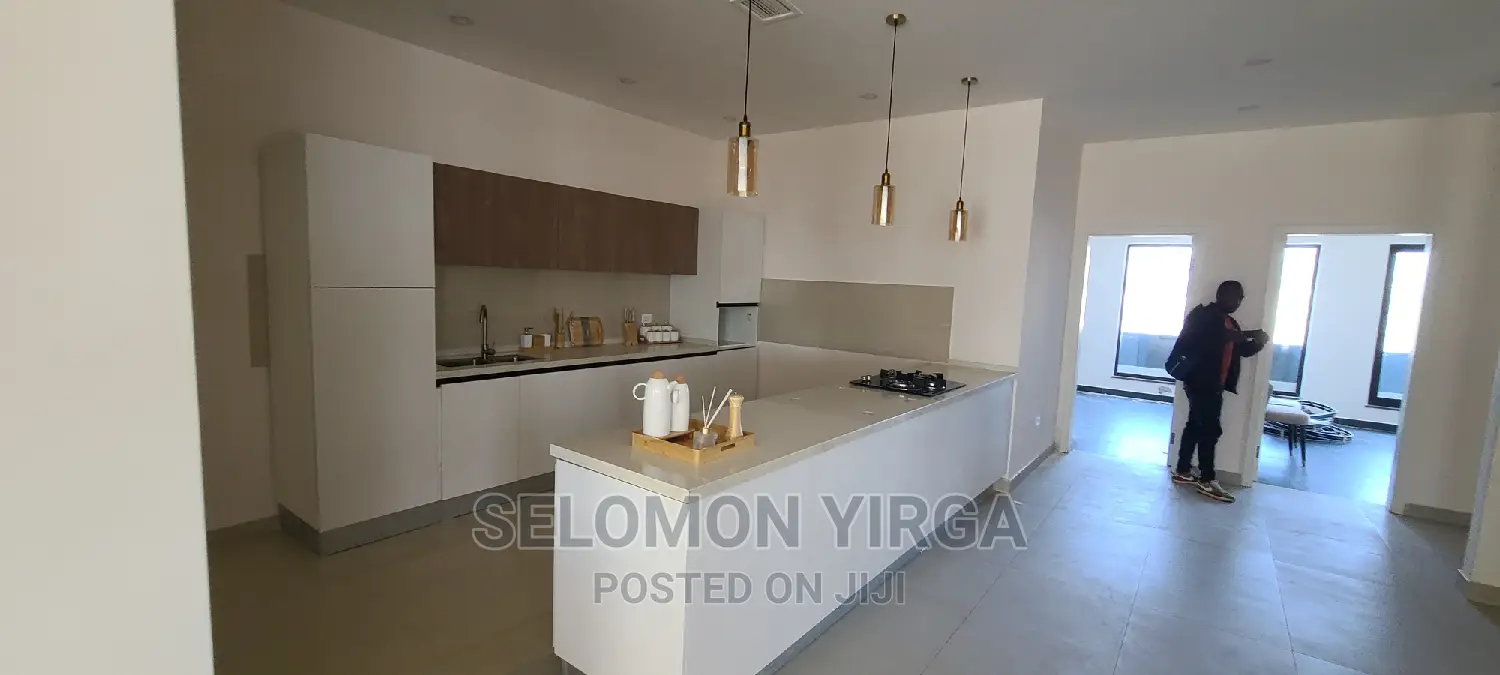 Furnished 3bdrm Penthouse in አድስ አበበ, Bole for sale