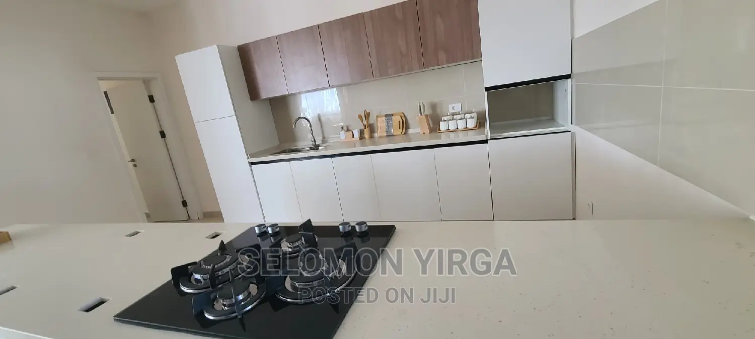 Furnished 3bdrm Penthouse in አድስ አበበ, Bole for sale