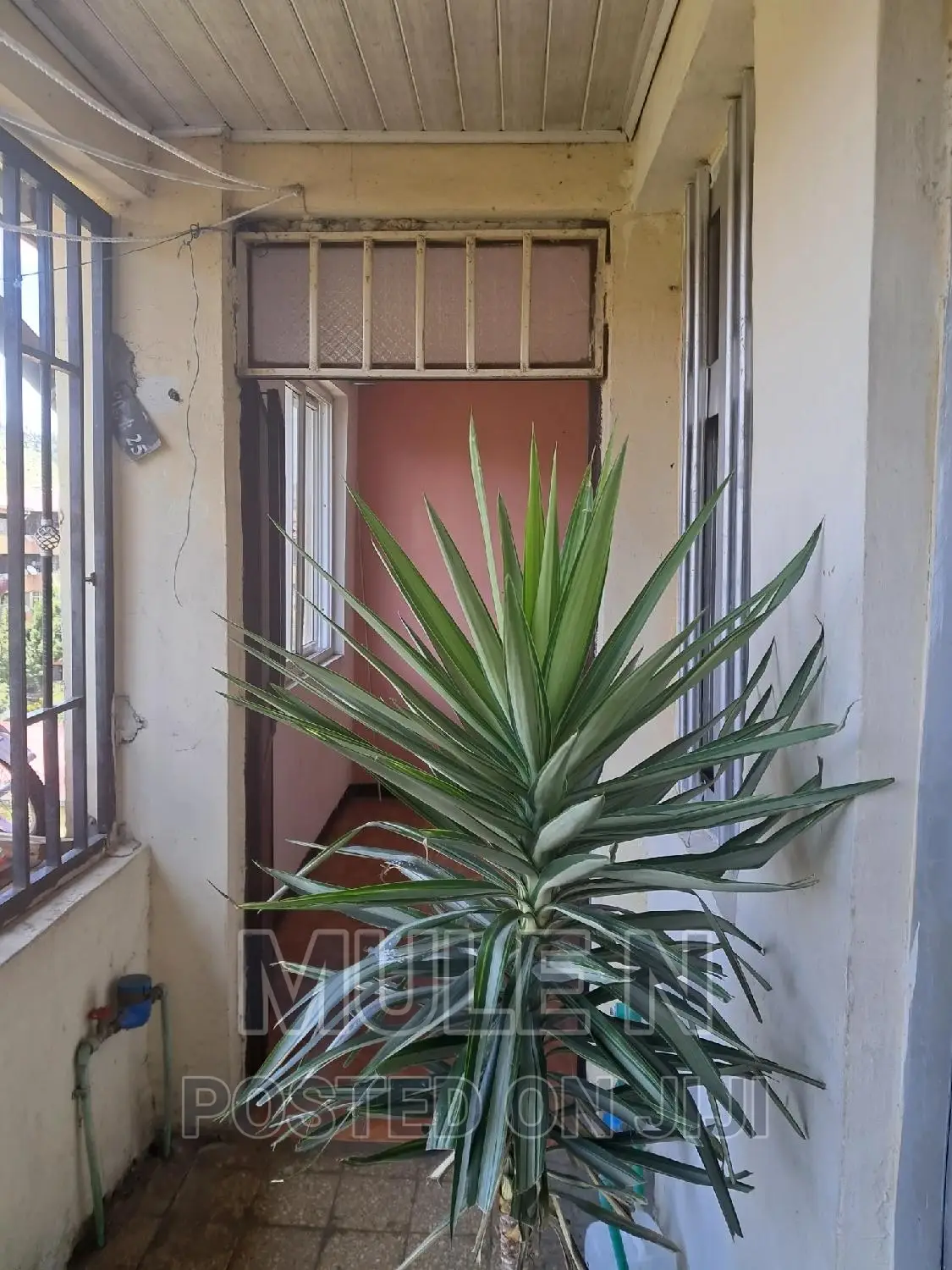 Furnished 1bdrm Condo in Abado Condominium, Yeka for sale