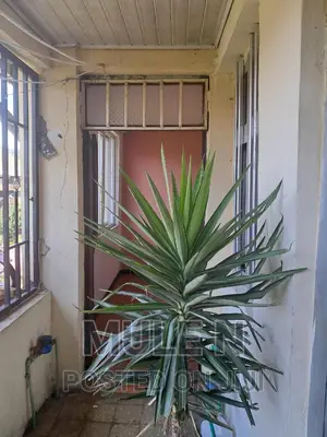 Photo - Furnished 1bdrm Condo in Abado Condominium, Yeka for sale