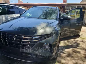 Photo - New Hyundai Tucson 2022 Gray