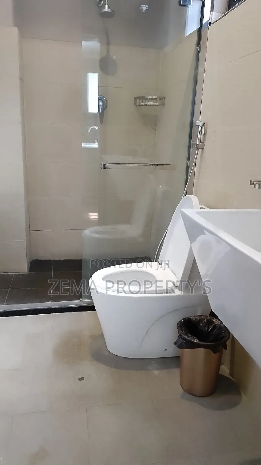 Furnished 2bdrm Apartment in Zema, Bole for rent