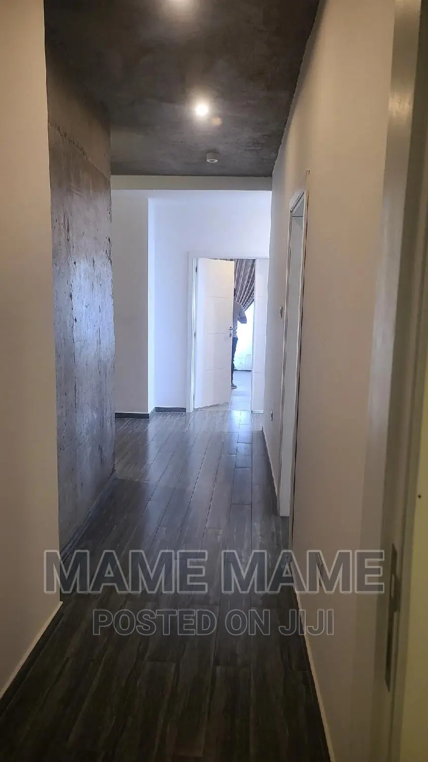 Furnished 3bdrm Apartment in Addis Abeba, Bole for rent