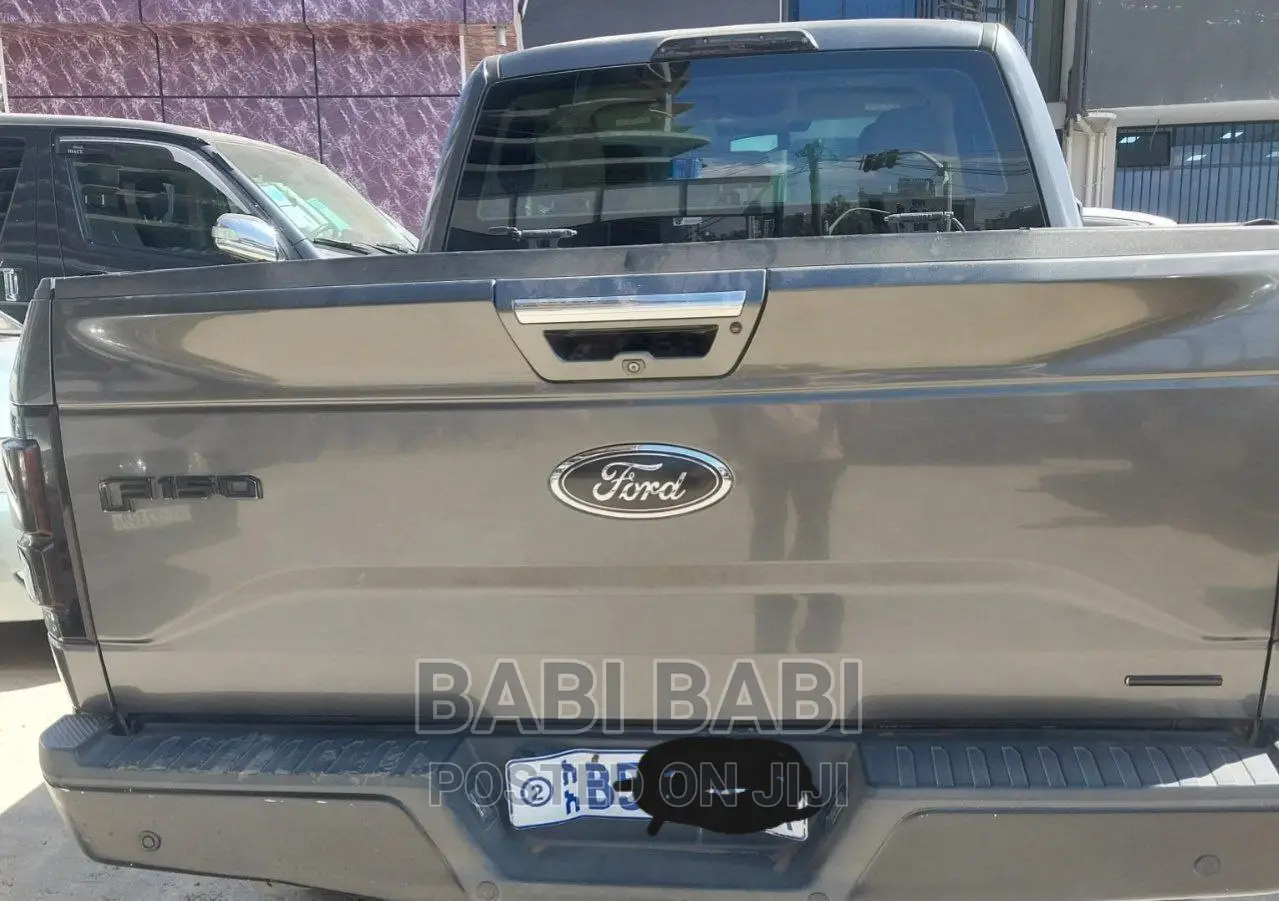 Ford F-150 2017 Gray