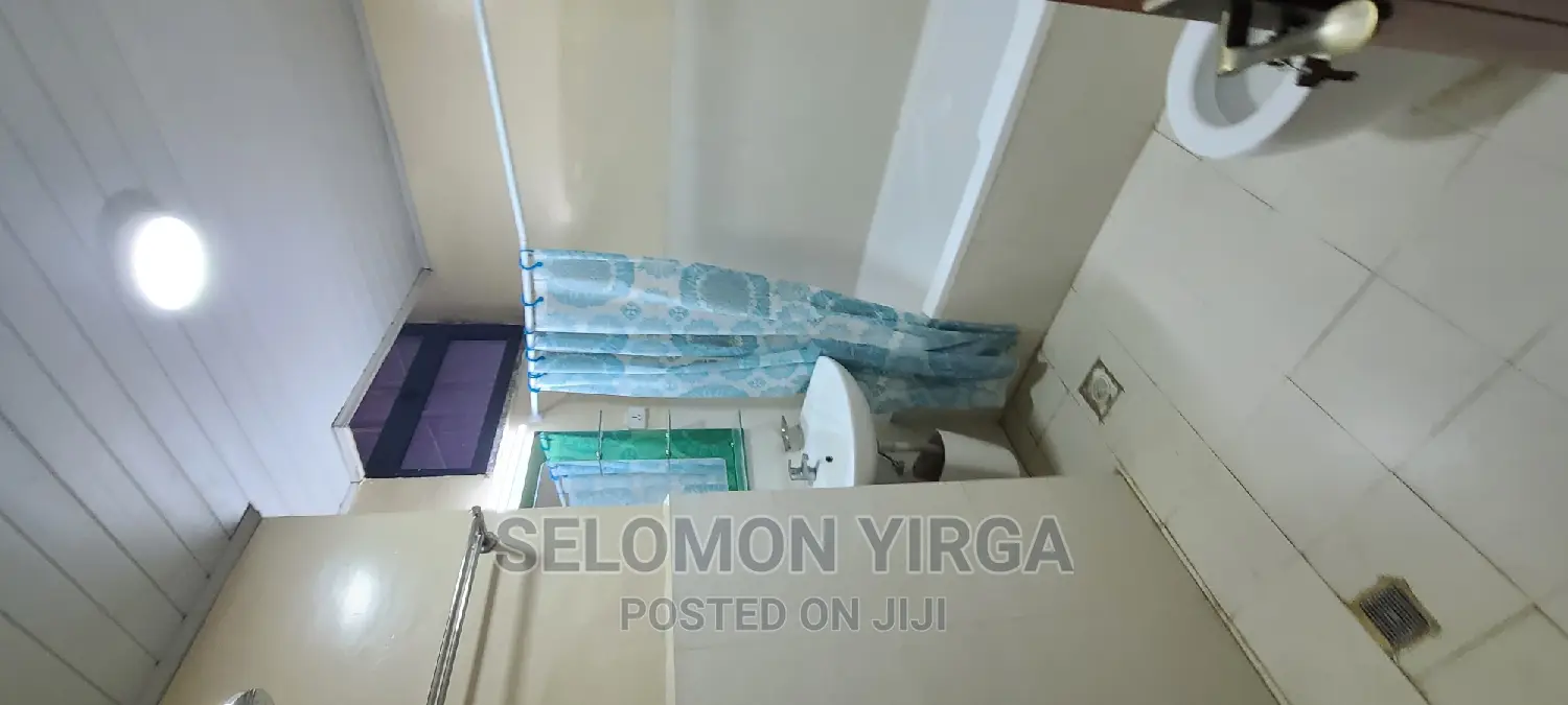 Furnished 3bdrm Apartment in አድስ አበባ, Kirkos for rent