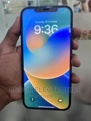 Photo - Apple iPhone 12 Pro Max 256 GB Blue