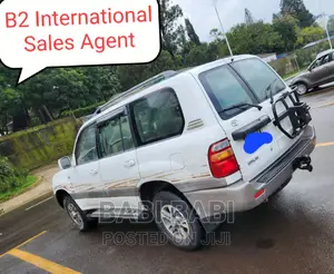 Toyota Land Cruiser 2007 Silver