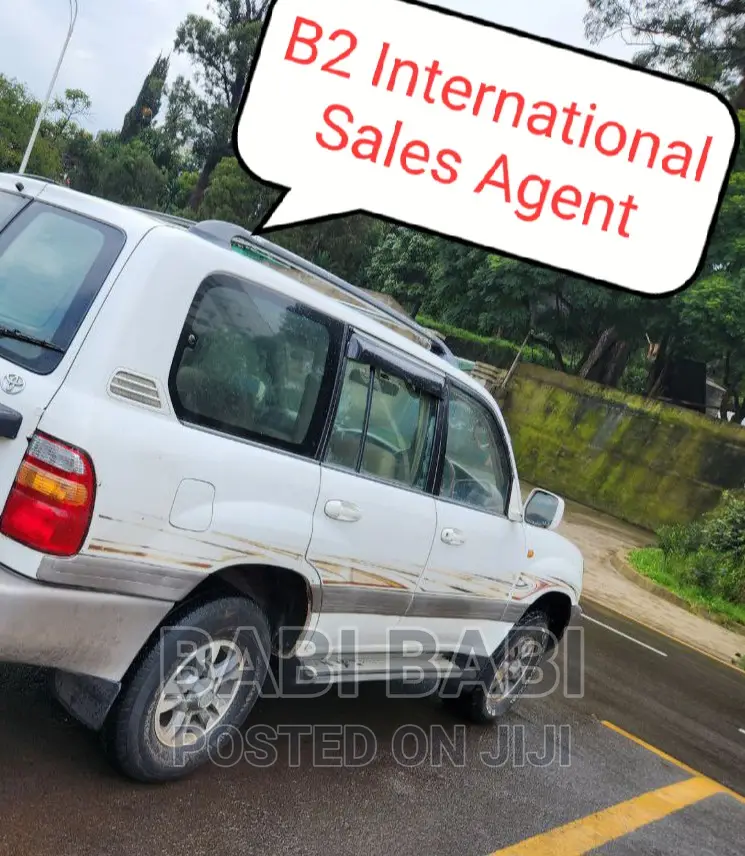 Toyota Land Cruiser 2007 Silver