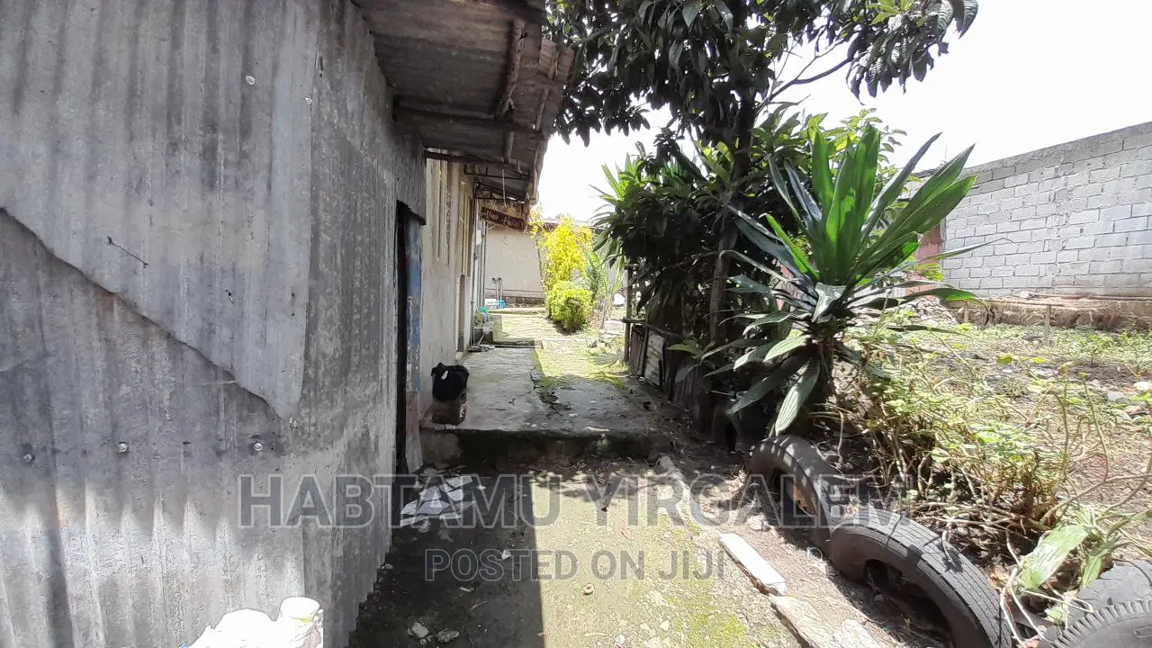 Furnished 3bdrm House in Gerjii, Mulu Gbi, Kirkos for sale