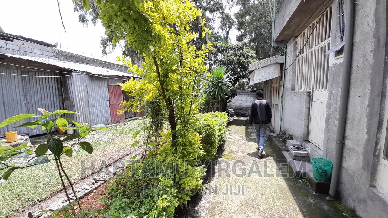 Furnished 3bdrm House in Gerjii, Mulu Gbi, Kirkos for sale