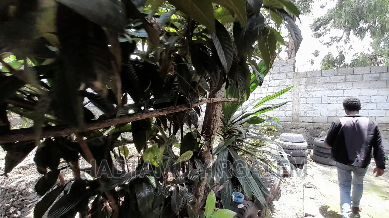 Furnished 3bdrm House in Gerjii, Mulu Gbi, Kirkos for sale