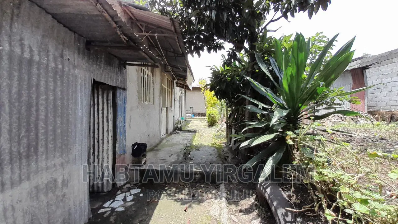 Furnished 3bdrm House in Gerjii, Mulu Gbi, Kirkos for sale