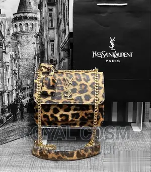 Photo - Ysl Paris Bags