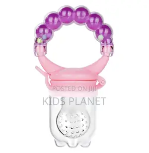 Photo - Baby Fruit Feeder And Pacifier