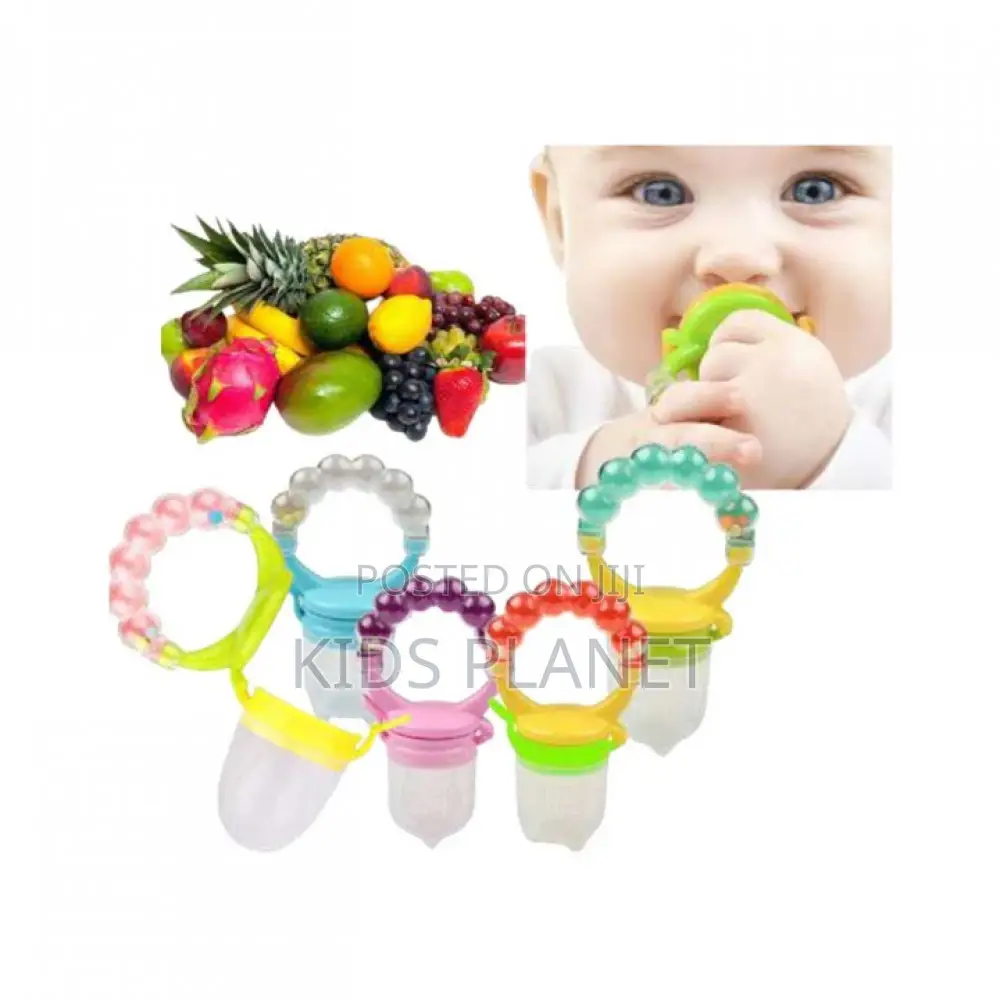 Baby Fruit Feeder And Pacifier