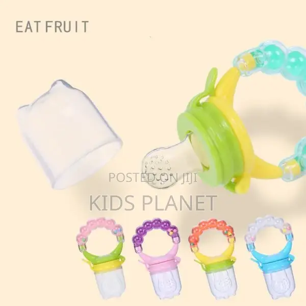 Baby Fruit Feeder And Pacifier