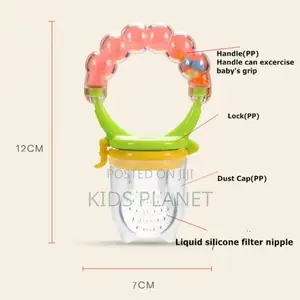 Baby Fruit Feeder And Pacifier