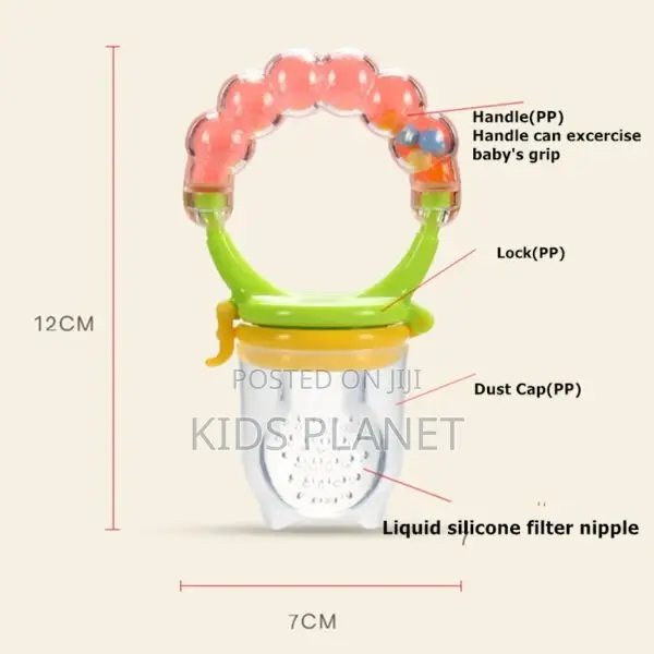Baby Fruit Feeder And Pacifier