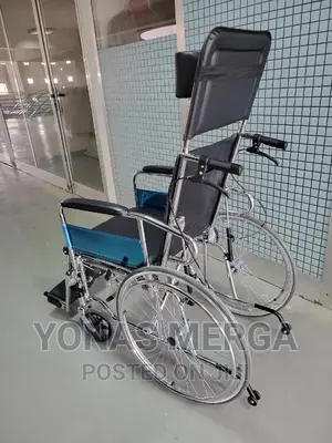 Bed Wheelchair/Poty Wheelchair/Multifunctional Wheelchair/