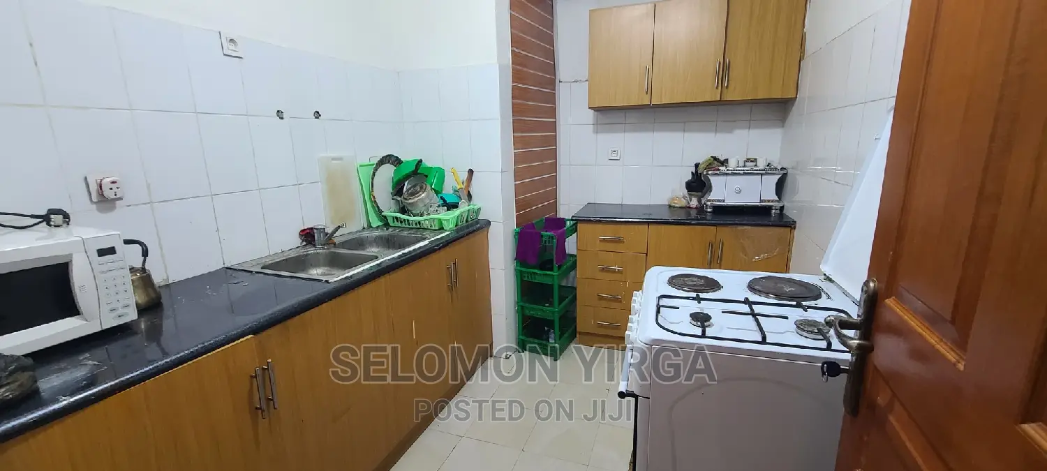 Furnished 3bdrm Apartment in አድስ አበባ, Yeka for rent