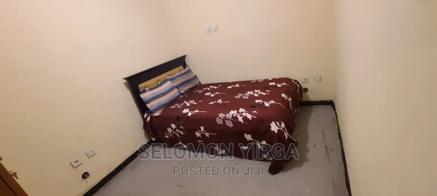 Furnished 3bdrm Apartment in አድስ አበባ, Yeka for rent