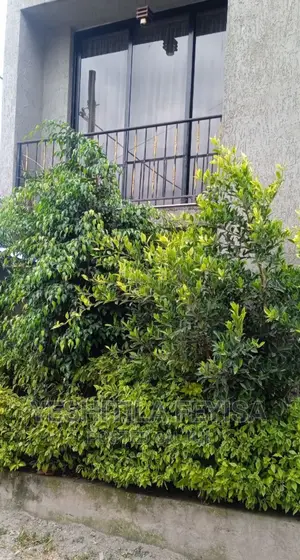 Furnished 4bdrm House in Hayle Garment, Nifas Silk-Lafto for sale