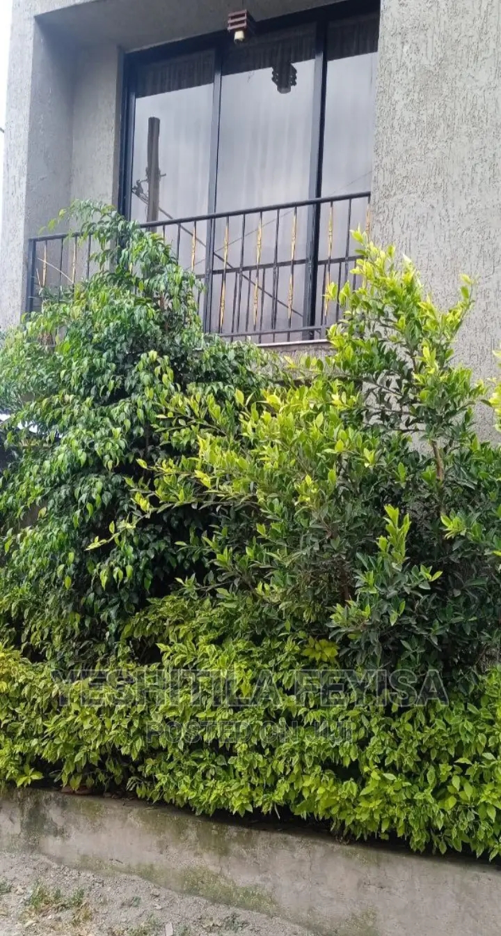 Furnished 4bdrm House in Hayle Garment, Nifas Silk-Lafto for sale