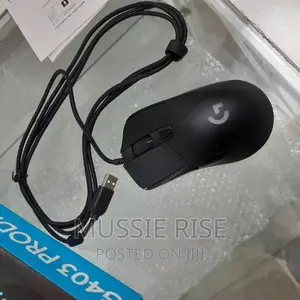 Logitech G403 Prodigy RGB Gaming Mouse