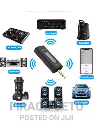 Dual Wireless Microphone