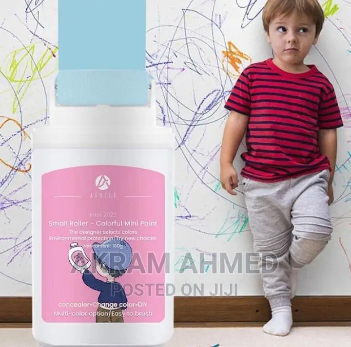 Roller Mini Wall Paint