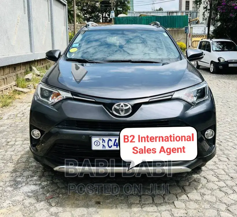 Toyota RAV4 2017 Gray