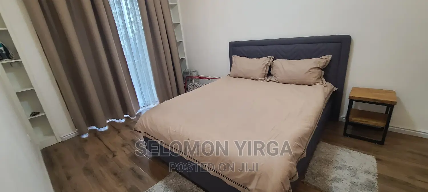 Furnished 1bdrm Apartment in አድስ አበባ, Bole for rent