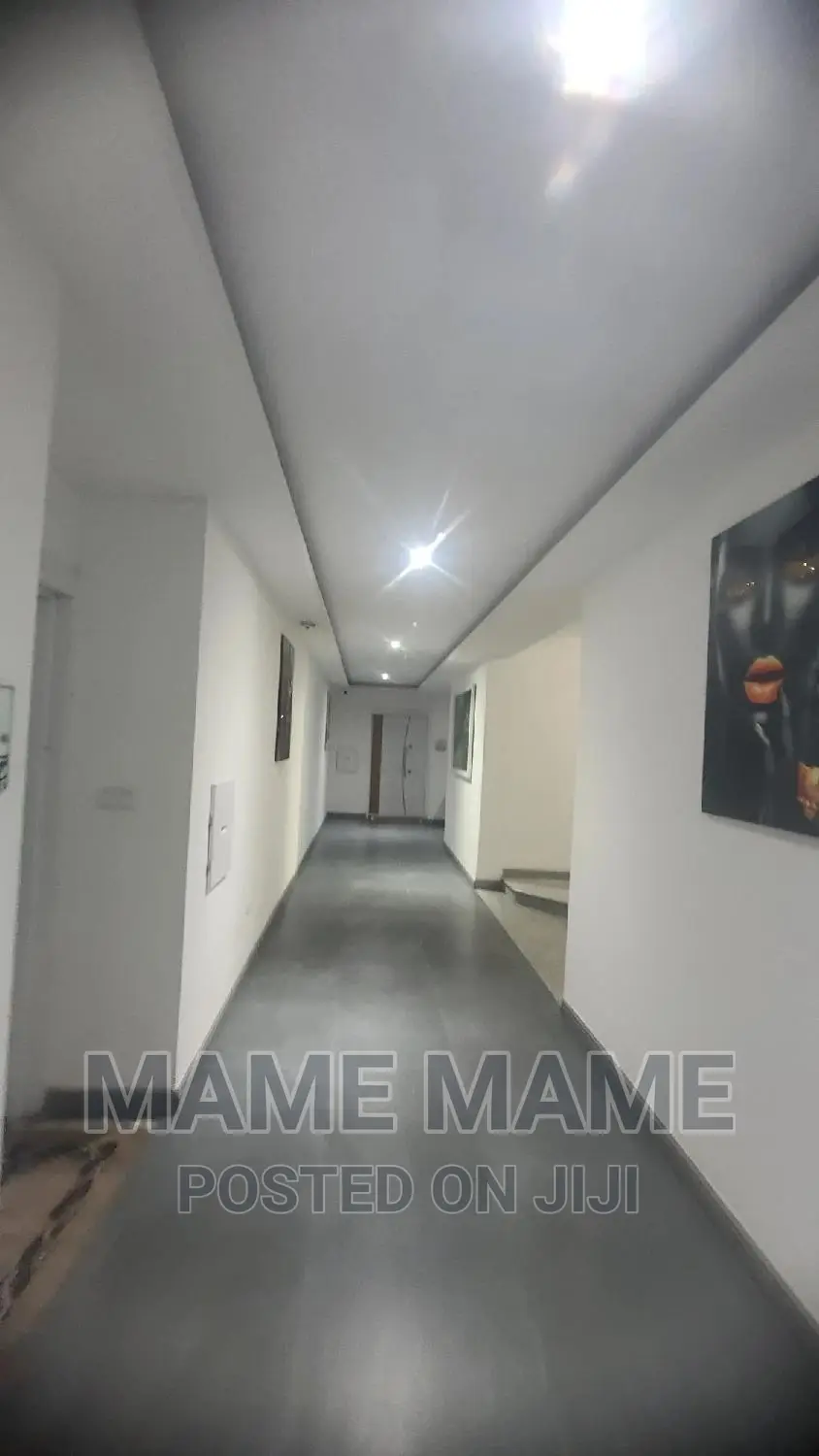 Furnished 1bdrm Apartment in Addis Abeba, Bole for rent