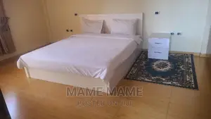 Furnished 5bdrm House in Addis Abeba, Bole for rent