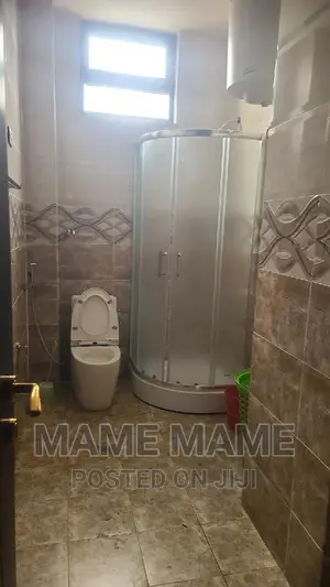 Furnished 3bdrm Apartment in Addis Abeba, Bole for rent