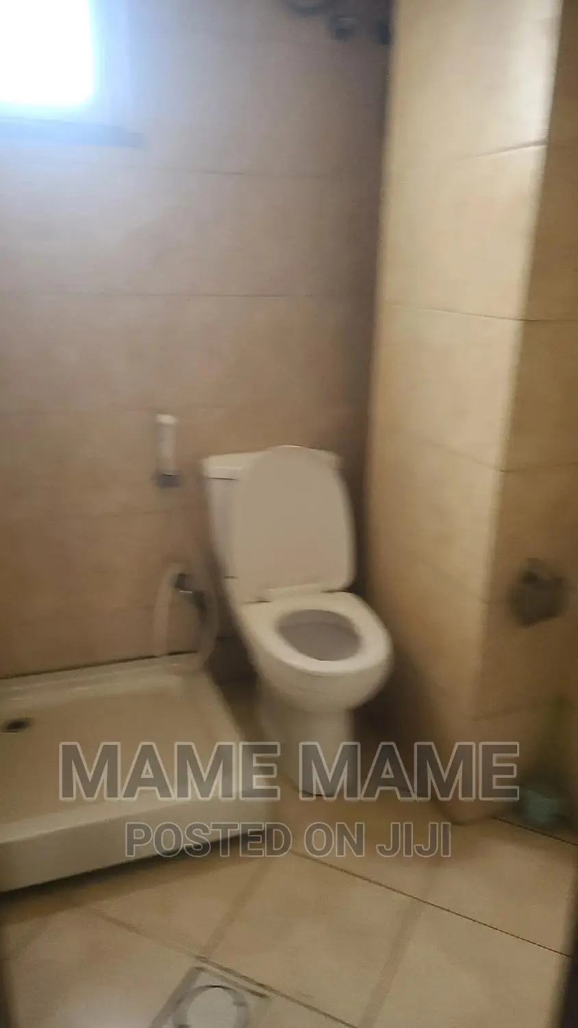 Furnished 3bdrm Apartment in Addis Abeba, Bole for rent