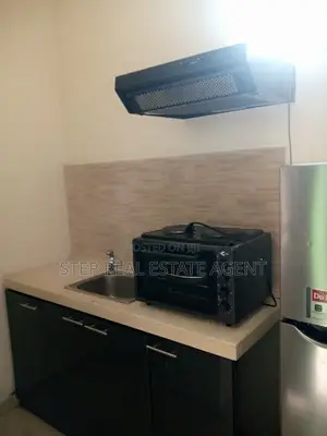Photo - Furnished 1bdrm Apartment in Bole for rent