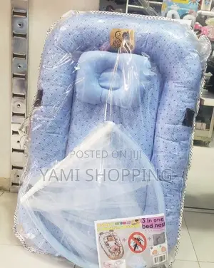 Baby Bed With Mosquito Net