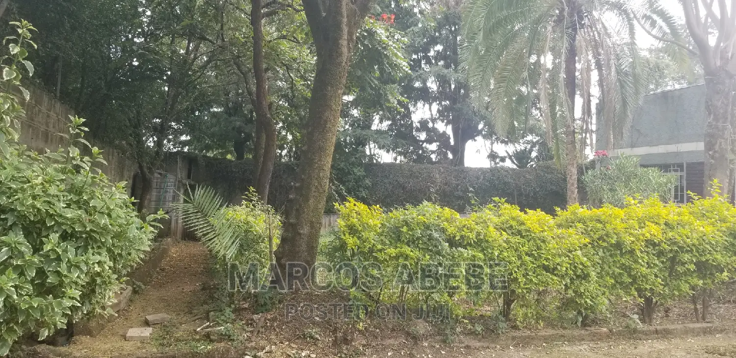 4bdrm House in Addis Ababa, Nifas Silk-Lafto for sale
