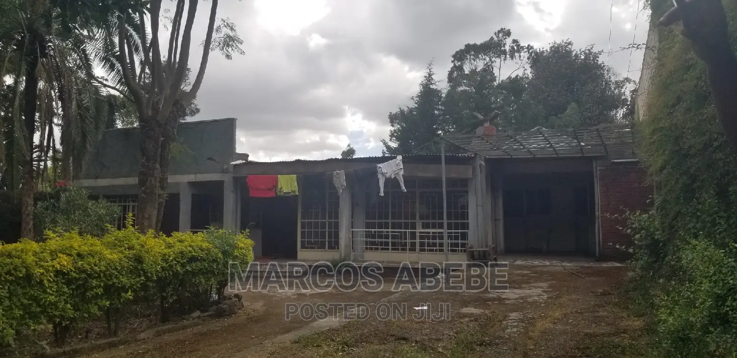 4bdrm House in Addis Ababa, Nifas Silk-Lafto for sale