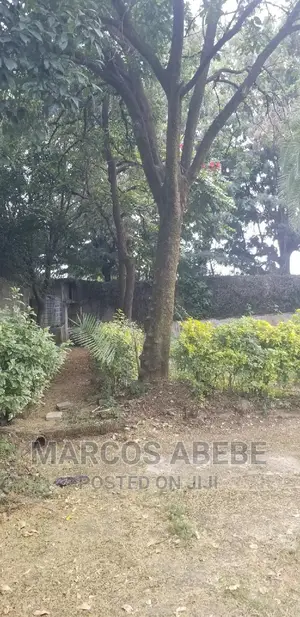 4bdrm House in Addis Ababa, Nifas Silk-Lafto for sale