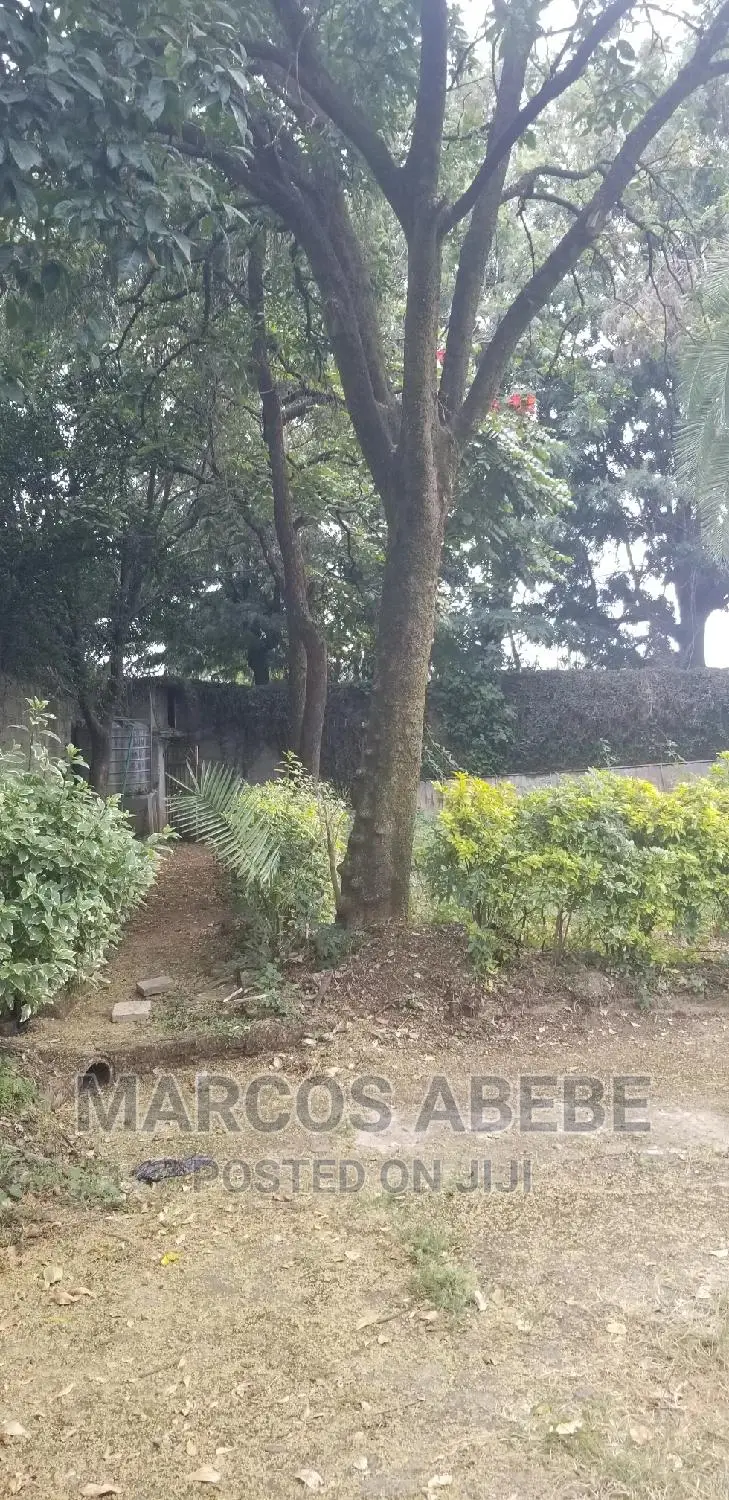 4bdrm House in Addis Ababa, Nifas Silk-Lafto for sale