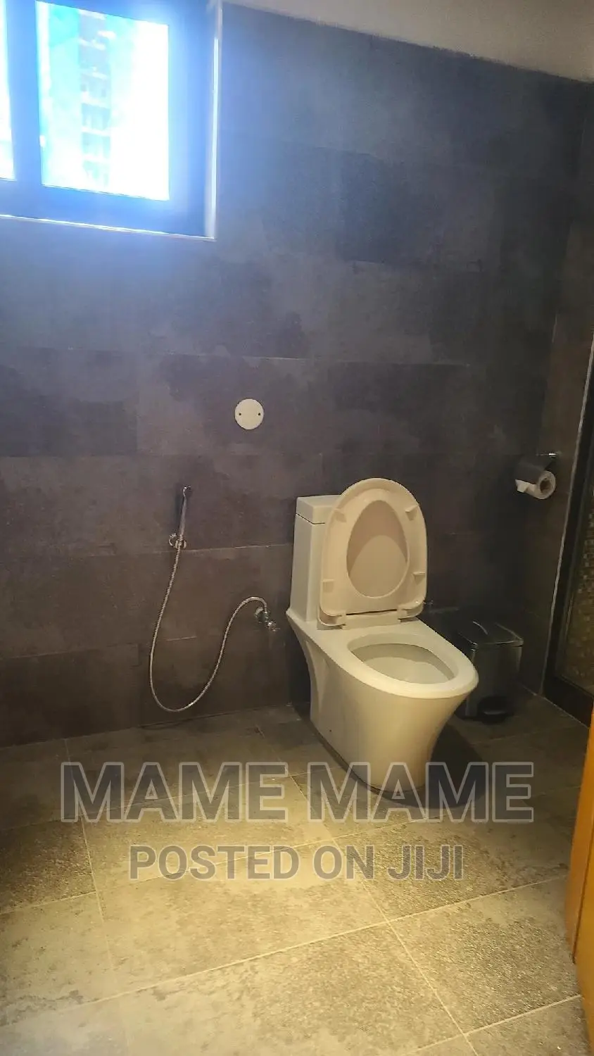 Furnished 1bdrm Apartment in Addis Abeba, Bole for rent