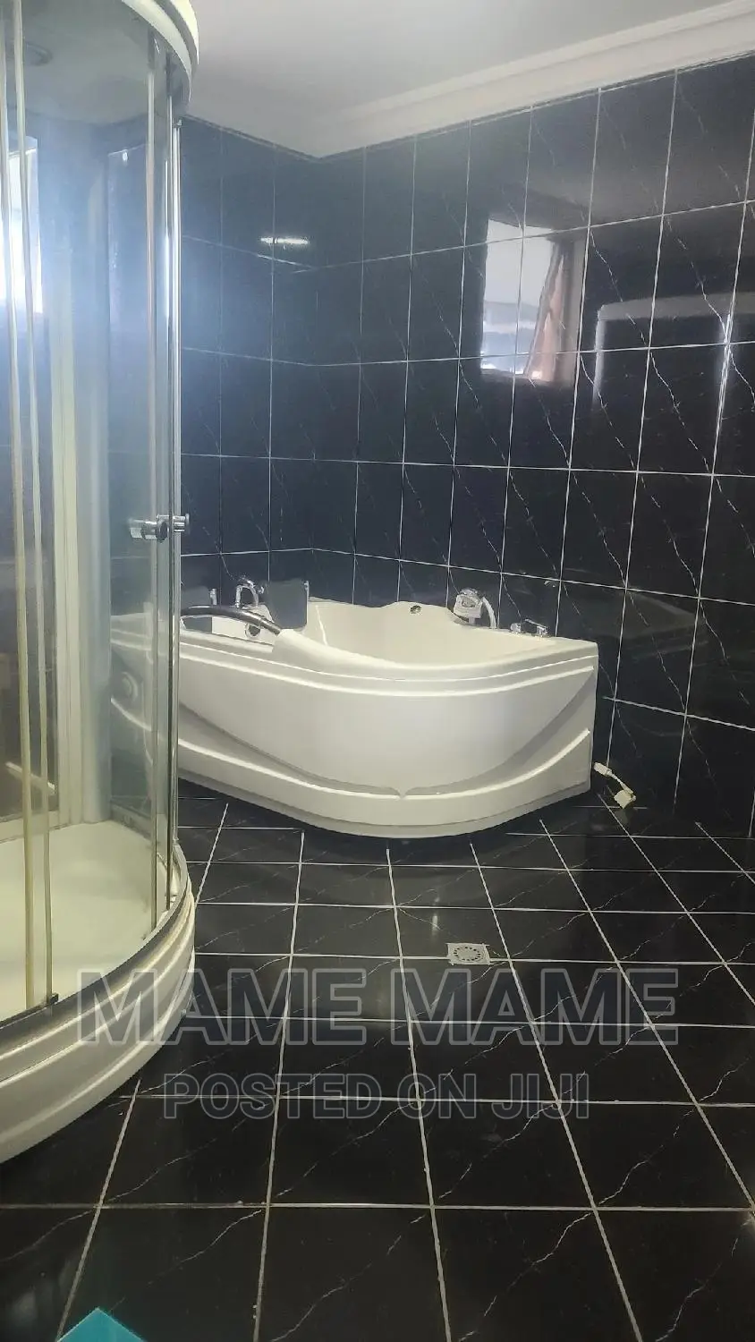 Furnished 3bdrm Penthouse in Addis Abeba, Bole for rent