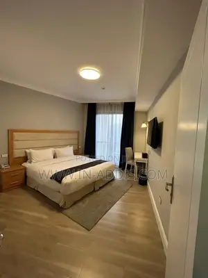 Photo - Furnished 1bdrm Apartment in Bole for rent