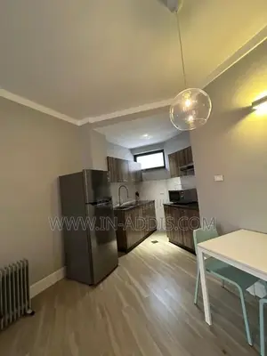 Furnished 1bdrm Apartment in Bole for rent