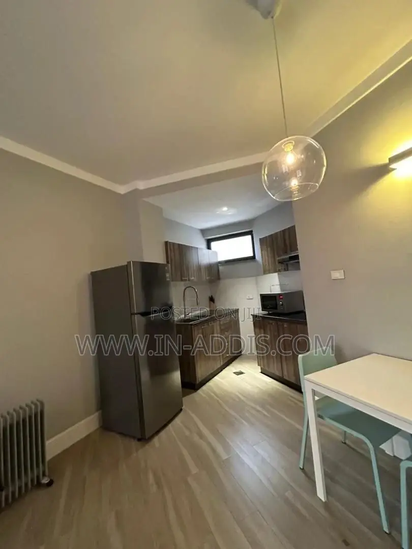 Furnished 1bdrm Apartment in Bole for rent