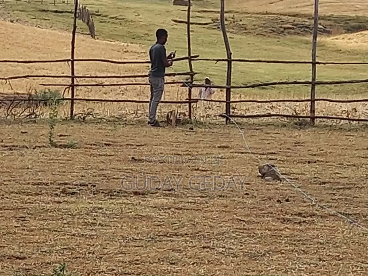 140 Kare Land Plot Gelan Near Unisa University